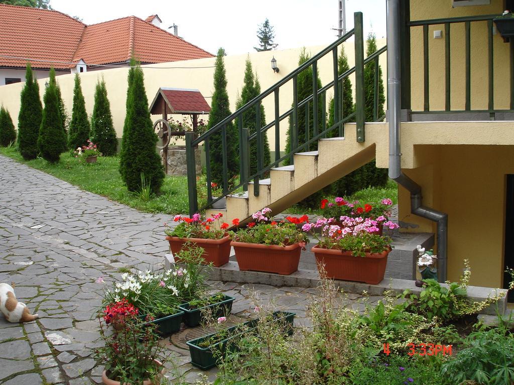 Pensiunea Sub Cetate Cisnadie Exterior photo